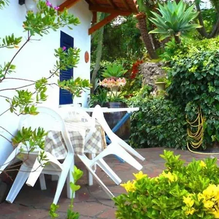 Apartment Hibiskus Ischia